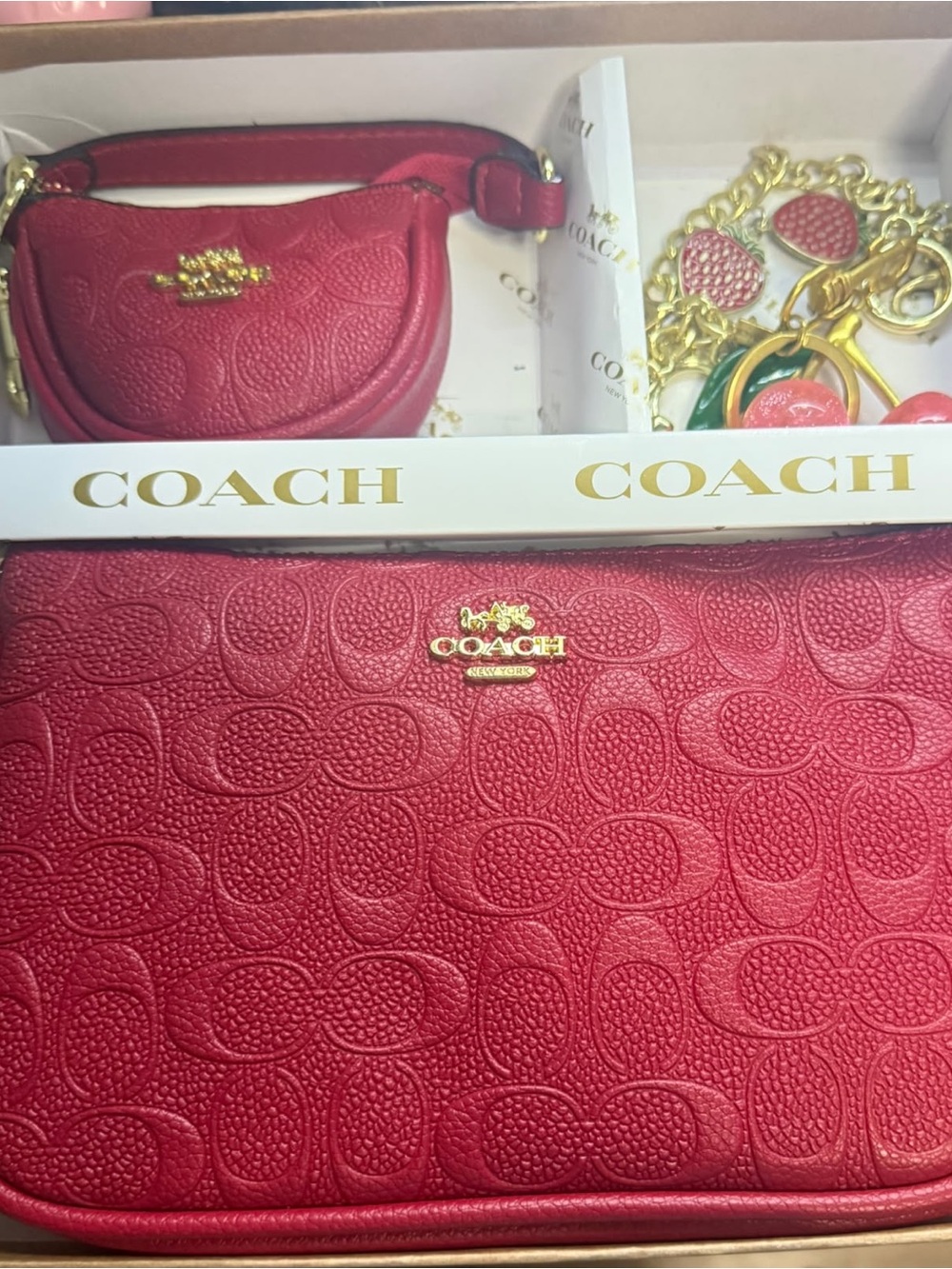 COACH Red Signature Embossed Leather Crossbody Set with Gold Hardware
